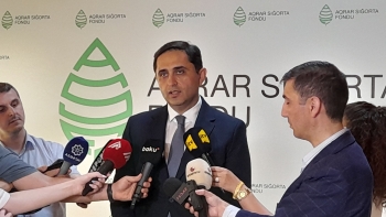 Pambıq sahələri üzrə hesablanmış aqrar sığorta ödənişləri ilk dəfə olaraq - 1 MİLYON MANATI KEÇİB | FED.az