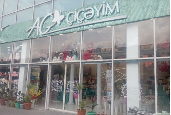 “Ağ Çiçəyim”in dövlətə 300 min manata yaxın vergi borcu var