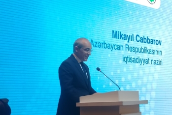 "7 il ərzində tədbiq edilən vergi güzəştlərinin nəticəsini görürük" - Mikayıl Cabbarov 