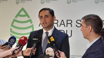 Pambıq sahələri üzrə hesablanmış aqrar sığorta ödənişləri ilk dəfə olaraq - 1 MİLYON MANATI KEÇİB | FED.az