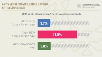 Azərbaycanda aktiv vergi ödəyicilərinin sayı bu il 4 %-ə yaxın artıb | FED.az