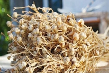 Xaricə gedərkən özləri ilə üzərlik aparanlara - XƏBƏRDARLIQ