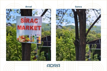 ADRA ağacların üzərinə vurulmuş yüzlərlə reklam qurğusunu demontaj edib - FOTOLAR | FED.az