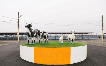 AQTA: Bərdə heyvan bazarı yaxın günlərdə açılacaq | FED.az