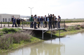 Azərbaycan şirkəti Neftçaladakı balıq zavoduna - 16 MİLYON YATIRIB – İXRACA BAŞLAYIB | FED.az