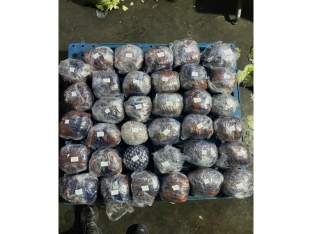 Ötən ay sərhəddə 6,5 milyon manatlıq qaçaqmal aşkarlanıb - FOTOLAR | FED.az