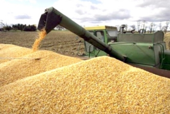 Qazaxıstan taxılının Azərbaycan üzərindən Ermənistana daşınmasına başlanılıb