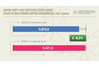 Dövlət Vergi Xidməti proqnoza 105,7 faiz əməl edib | FED.az