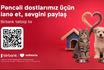 “Pəncəli Ürəklər” sahibsiz heyvanlara dəstək aksiyası uğurla - DAVAM EDİR