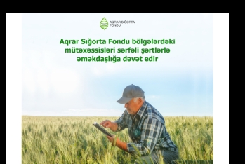 Aqrar Sığorta Fondu bölgələrdəki mütəxəssisləri sərfəli şərtlərlə əməkdaşlığa dəvət edir