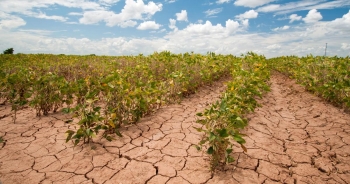 Impacts of drought in Azerbaijan: How does it harm the country? How can it be prevented? What is the international experience? – IMPORTANT STUDY FROM YOUNG RESEARCHERS | FED.az