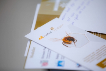 Дашкесанские пчеловоды привлечены к тренингам в связи с сезоном розлива меда | FED.az