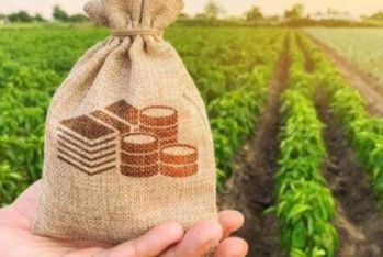 AMB: "Bankların aqrar sektora verdiyi kreditlər 1,8 milyard manatı üstələyib"