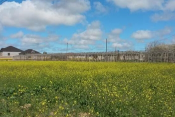 “Kənd təsərrüfatı təyinatlı torpaqlarda bu tikililərin inşası qadağandır”