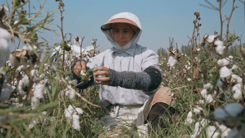 Impacts of drought in Azerbaijan: How does it harm the country? How can it be prevented? What is the international experience? – IMPORTANT STUDY FROM YOUNG RESEARCHERS | FED.az