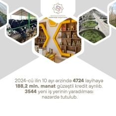 Azərbaycanda 10 ayda 188 milyon manatdan çox güzəştli kredit verilib | FED.az