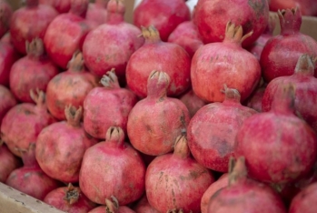Kürdəmirdə fermerlər satdıqları narın - PULUNU ALA BİLMİRLƏR - VİDEO