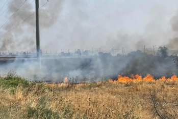 Prezident əkin yerinin yandırılması ilə bağlı yeni cərimələri təsdiqləyib