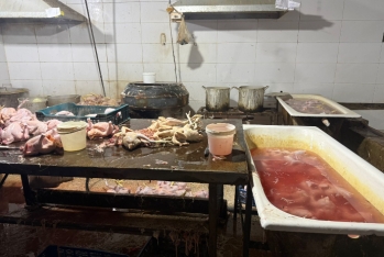 Xırdalanda qanunsuz və antisanitar şəraitdə fəaliyyət göstərən quş kəsimi sexinin fəaliyyəti dayandırılıb − VİDEO