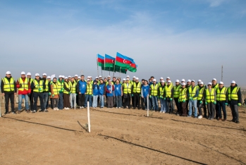 SOCAR Midstream ağacəkmə aksiyası keçirib - FOTOLAR