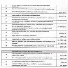 «Assist Finance»dən 7 milyon çıxarılıb - [red]Şirkət 5 dəfə kiçilib - HESABAT[/red] | FED.az
