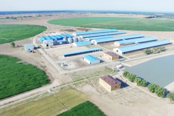 Yüzlərlə sahibkara yaradılmış yeni imkan – İlham Əliyev Yevlax Pilot Aqroparkın açılışında