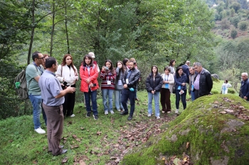 Bir şəlalə ilə başlayan turizm layihəsi - Astaranın Sım kəndi - FOTOLAR | FED.az