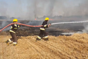 4 hektar sahədə biçilmiş taxıl sahəsi yandı - VİDEO