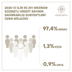 Güzəştli kreditlər daha çox mikrosahibkarlara verilib | FED.az