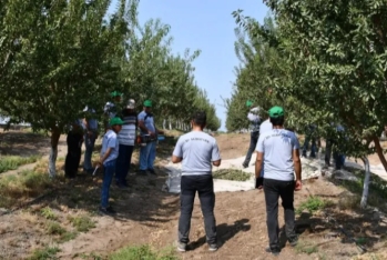 Aqropark şirkətində 21 milyon manat zərər yığılıb