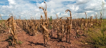 Impacts of drought in Azerbaijan: How does it harm the country? How can it be prevented? What is the international experience? – IMPORTANT STUDY FROM YOUNG RESEARCHERS | FED.az