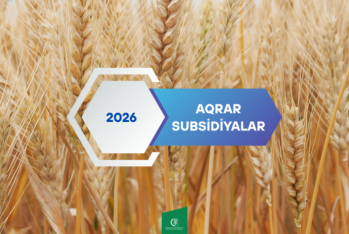 Aqrar Subsidiya Şurası 2026-cı il üçün subsidiya əmsallarını açıqlayıb - ƏKİNLƏR, MƏBLƏĞLƏR, ŞƏRTLƏR
