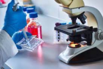 Dövlət qurumu laboratoriya cihazları alır – TENDER NƏTİCƏSİ