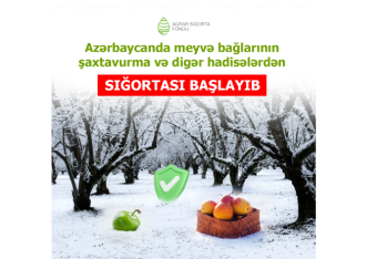 Azərbaycanda meyvə bağlarının şaxta və digər hadisələrdən - SIĞORTASI BAŞLAYIB