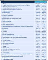 "Bank of Baku" 9 aya 36% böyüdü - [red]Mənfəət 27 milyon manata çatdı - HESABAT[/red] | FED.az