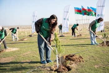 Trendyol və PAŞA “Holding”in təşəbbüsü ilə 12 mindən çox ağac əkilib -[red] FOTOLAR[/red] | FED.az