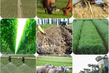 İslam Bankı Azərbaycanda kənd təsərrüfatının inkişafına 437 milyon dollar ayırıb