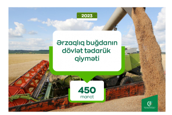 Dövlət fermerlərdən buğdanın tonunu - 450 manata alacaq - RƏSMİ AÇIQLANDI