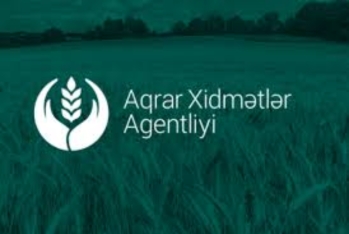 Hesablama Palatası:  Aqrar Xidmətlər Agentliyi 1 milyon manata yaxın dövlət vəsaitini səmərəsiz xərcləyib