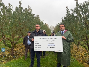 Nektarin və badam bağlarına dəymiş zərər üzrə təqribən 1 milyon manat sığorta ödənişi edilib | FED.az