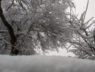 Rayonlarda qar yağacaq - HAVA PROQNOZU AÇIQLANDI