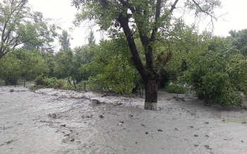 Zaqatalanın kəndləri sel suları altında qalıb, magistral yol bağlanıb - FOTO | FED.az