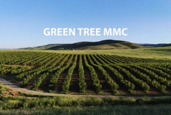 “Green Tree” MMC - MƏHKƏMƏYƏ VERİLDİ - SƏBƏB