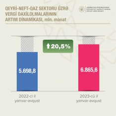 Vergi daxilolmaları - 23,4 FAİZ ARTIB | FED.az