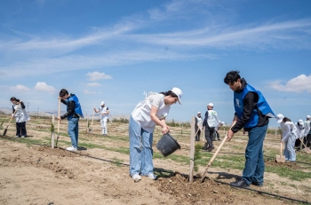 “Araz” supermarketlər şəbəkəsi ağacəkmə aksiyası keçirib - [red]FOTOLAR[/red] | FED.az