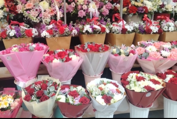 Qızılgül, tülpan, nərgizgülü və …”Teddi”lər – BAKIDA 8 MART HƏDİYYƏLƏRİ 