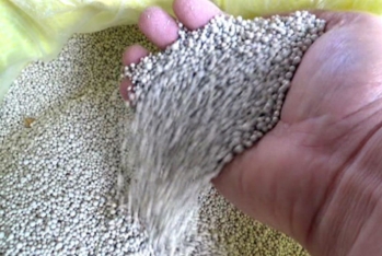 Rusiya ammonium nitrat gübrəsinin ixracını dayandırıb