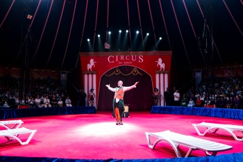 На территории Sea Breeze открылся цирк | FED.az