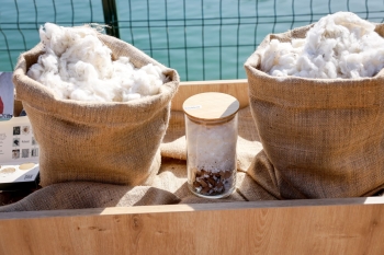 Trendyolmilla ilkə imza atıb: Regenerativ pambıqdan cins kolleksiyası - [red]FOTOLAR[/red] | FED.az