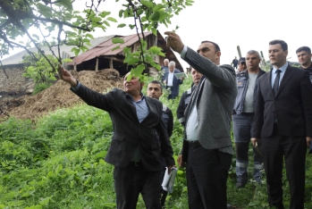 “Daşkəsən və Göygöldə aqrar inkişafa dəstək” layihəsi çərçivəsində monitorinq və icmalarla görüşlər keçirilir | FED.az